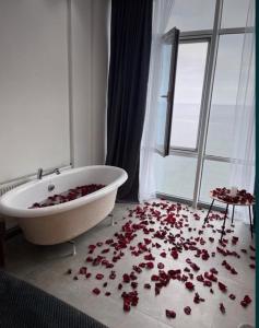 Апартаменты первая линия