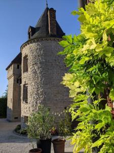 Maisons de vacances Les Tourelles de Torvilliers : photos des chambres