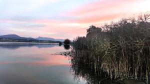 Glamping Wallersee - Unter dem Kastanienbaum