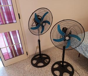 Villetta dei mille colori con ampio giardino