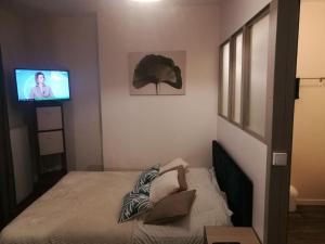 Appartements Studio calme plain pied dans mancelle centre Mans : photos des chambres