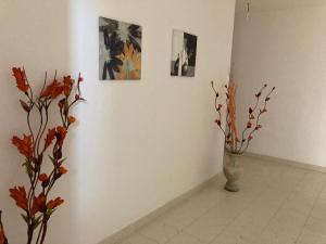 Civico 2 Olbia img47