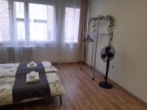 Madách Central Apartment