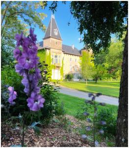 Appartements Chateau de Logne : photos des chambres