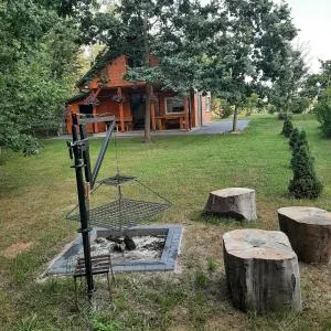 Roztocze 3 kroki od sosny - Stary Zamość