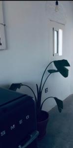 Apartments San Ignacio de Loyola