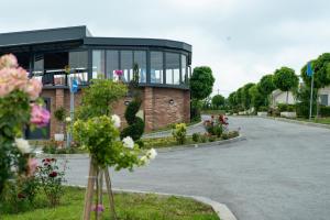 Alexander Resort