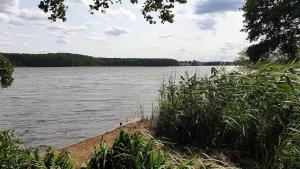 Ferienhaus Am Schlenken Lychen Uckermark