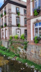 Maisons de vacances gite violette et pierrot : photos des chambres