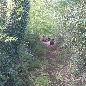 Maisons de vacances Pepe's Naturist Pod for 2 people Pays de la Loire : photos des chambres