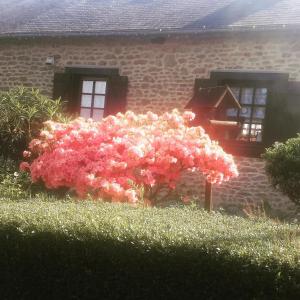 Maisons de vacances Pepe's Naturist Pod for 2 people Pays de la Loire : photos des chambres