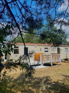 Holenderki na Zielonych Wzgórzach, Łowyń - Zachodźko