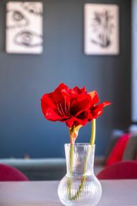 Spacious Penthouse with Massive Terrace