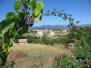 Maisons de vacances Les Bastides d'helvie : photos des chambres