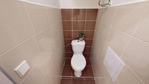 Viaducto de Karlín - Aparment