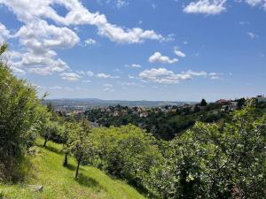 Barackvirág Apartmanház