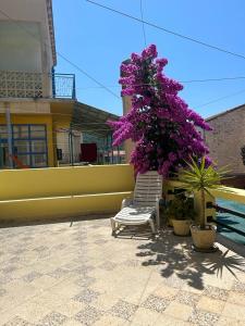 MARINA Apartment end rooms