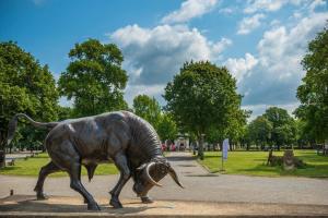 Appart'hotels CERISE Dax - Les Jardins du Lac : photos des chambres