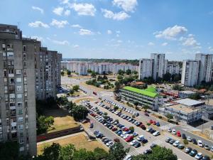 Morning Wood - Panorama