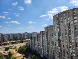 Morning Wood - Panorama