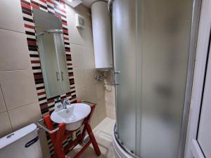 Morning Wood - Panorama