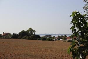 Appartements Le petit Sud : photos des chambres