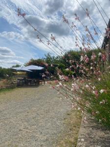 Sejours a la ferme Loire Valley Llama Farm Stay : photos des chambres