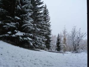 Duplex cosy 4 pers. proche pistes aux Arcs 1800 - FR-1-411-278