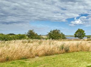 Reetdorf Geltinger Birk Atelierhaus Moorflechte