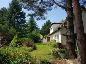 Na Piotrowickiej Przełęczy - Żelazno