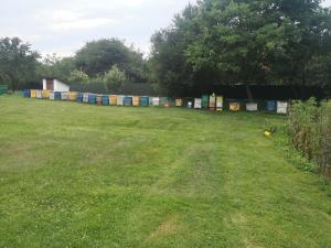 Evas Little House - Acasă la Tăticul Albinelor