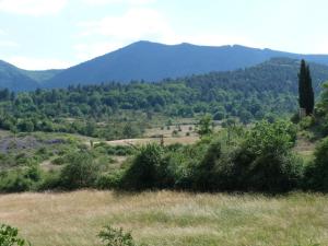 Maisons de vacances Gite des Amandiers T3 Alpes de Haute Provence : photos des chambres