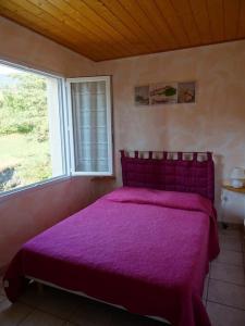 Maisons de vacances Gite des Amandiers T3 Alpes de Haute Provence : photos des chambres
