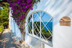 Faraglionensis MonaconeHouse Apartment