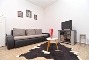 Apartment Loborika 1411