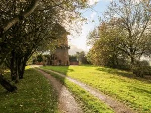 Windmill On The Farm - Ormskirk