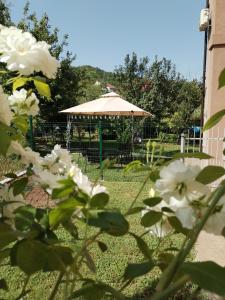 Guest House Dimitrije