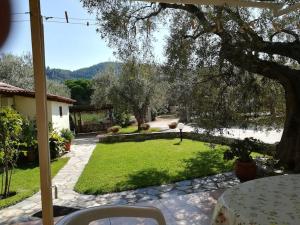 Dimitris - House Maria Manolaki - Ground Floor Studio