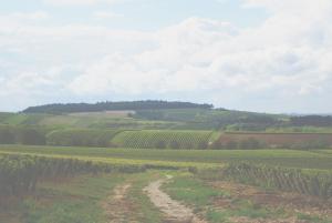 Maisons de vacances Pause nature a la ferme, campagne viticole : photos des chambres