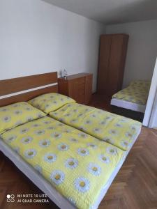 Apartmán Dvůr Králové