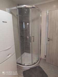 Apartmán Dvůr Králové