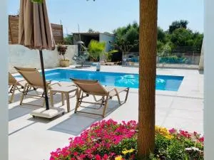 Amare suite - Null_ufi