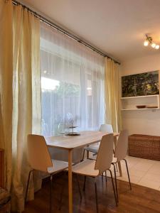 Biliūno g. 5 apartamentas 1-am aukšte su didele terasa