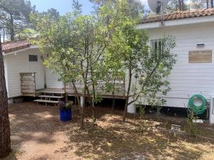 Appartements Chalet Mavalear naturiste La Jenny : photos des chambres