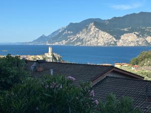 One-Bedroom Apartment with Balcony and Lake View - Separate Building (MO230450494)