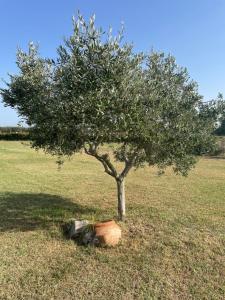 THE RANCH Apartment 2 Capalbio