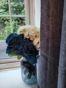 Ty Golchi - Cosy traditional cottage in Corris