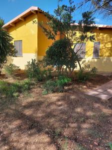 Agriturismo I 13 Pini di Putzu Anna Maria