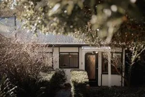 Misty Haven - Sassafras