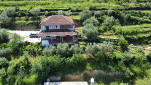 Guest House Pashollari